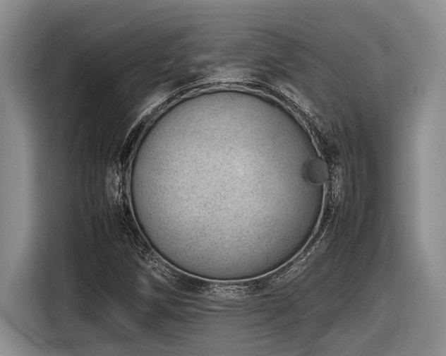 X0000116881258200912221418