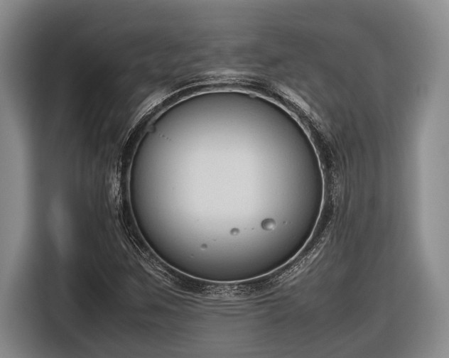 X0000116881259200912221418