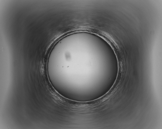 X0000116881260200912221418