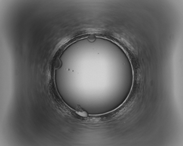 X0000116881261200912221418