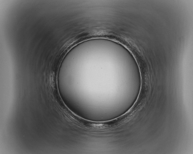X0000116881265200912221418