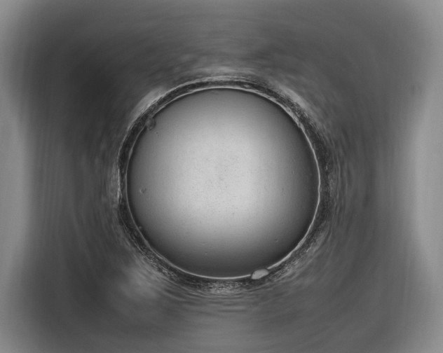 X0000116881267200912221418