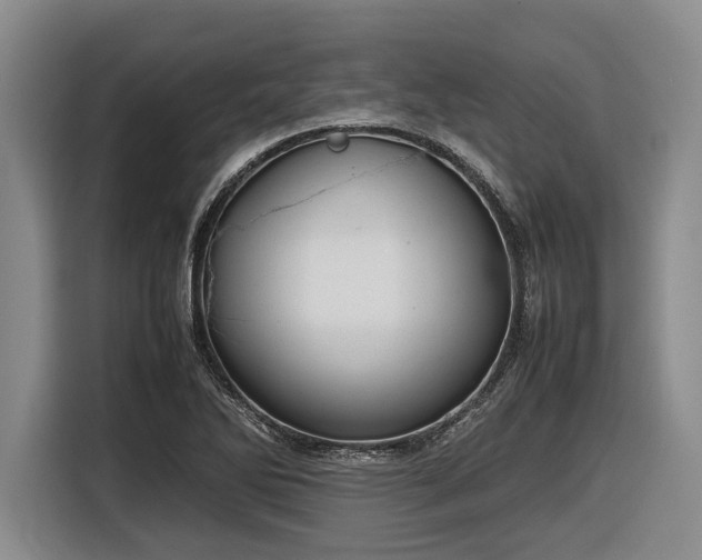 X0000116881270200912221418