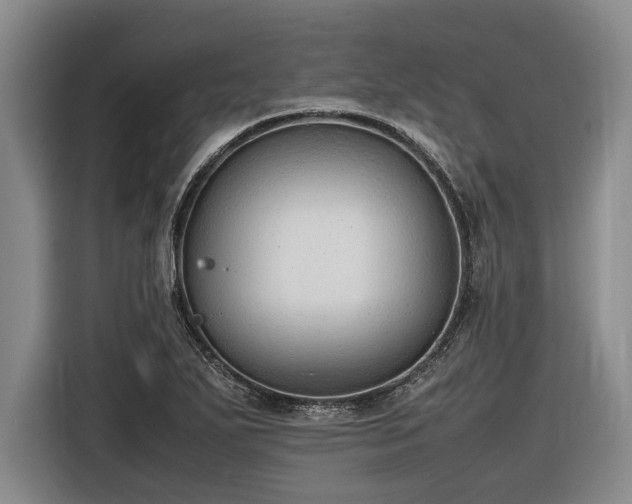 X0000116881271200912221418