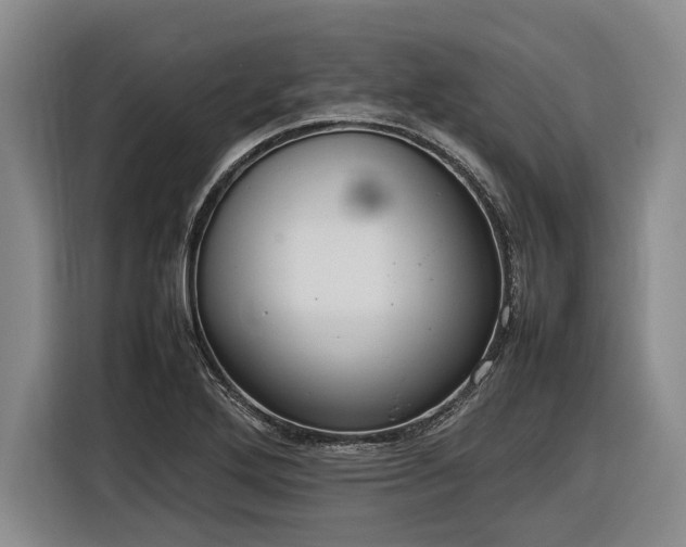 X0000116881272200912221418
