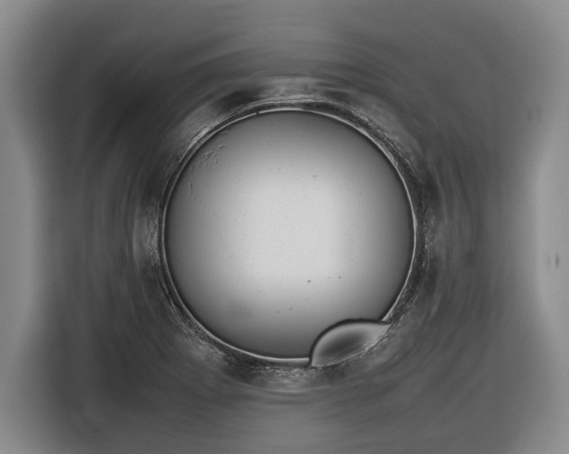 X0000116881273200912221418