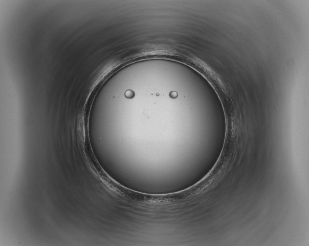 X0000116881274200912221418