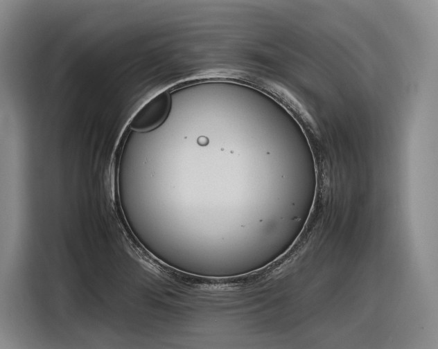 X0000116881276200912221418