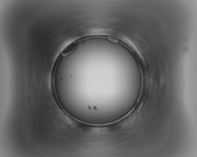 X0000116881277200912221418
