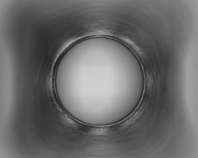 X0000116881278200912221418