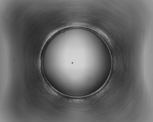 X0000116881280200912221418