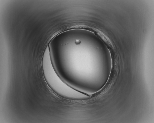X0000116881281200912221418