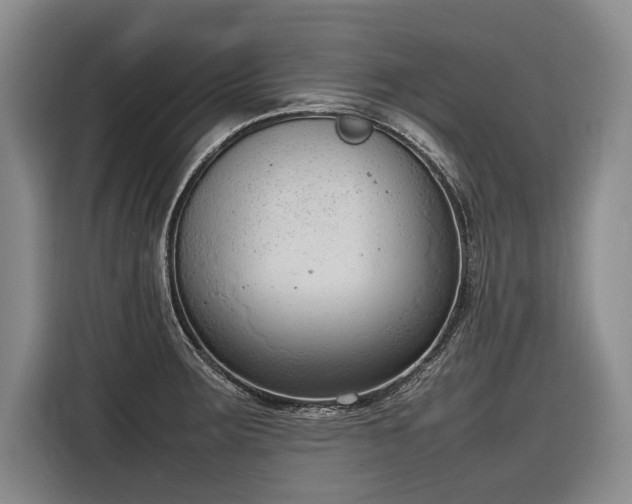 X0000116881283200912221418