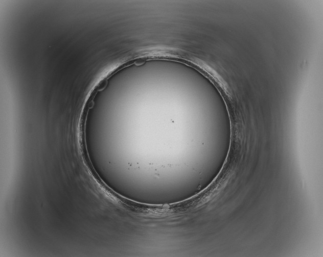 X0000116881285200912221418