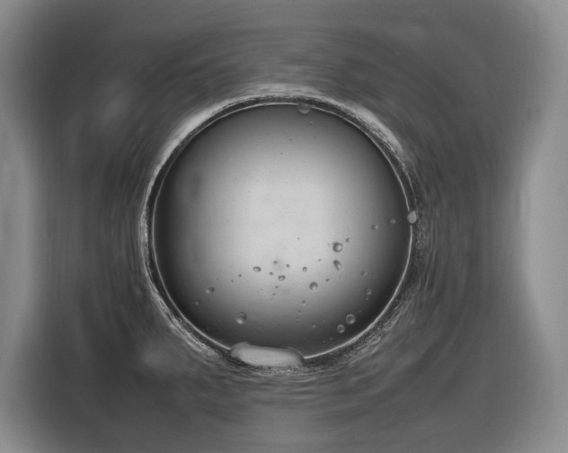 X0000116881287200912221418