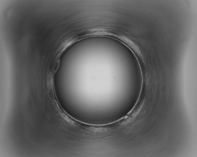 X0000116881289200912221418