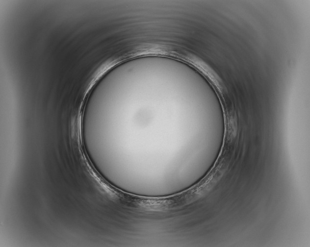 X0000116881290200912221418