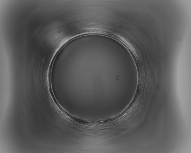 X0000116881291200912221418