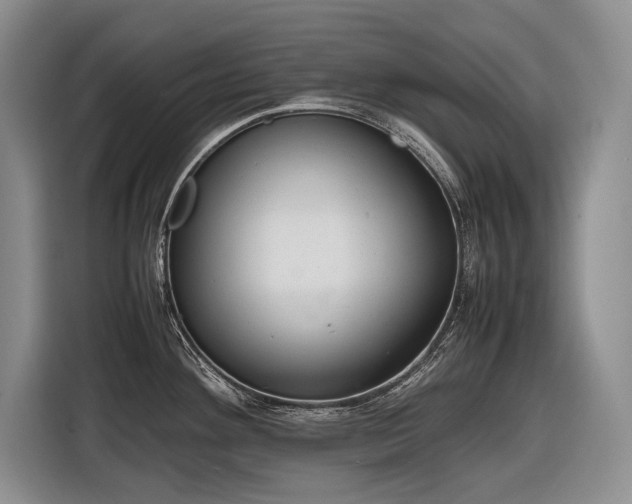 X0000116881292200912221418