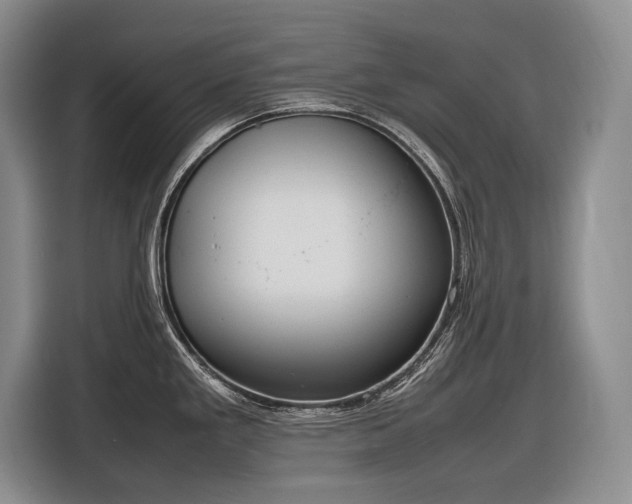 X0000116881293200912221418