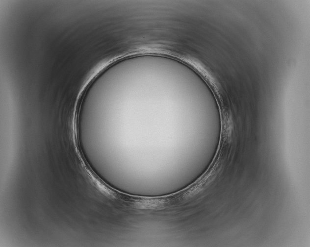 X0000116881294200912221418