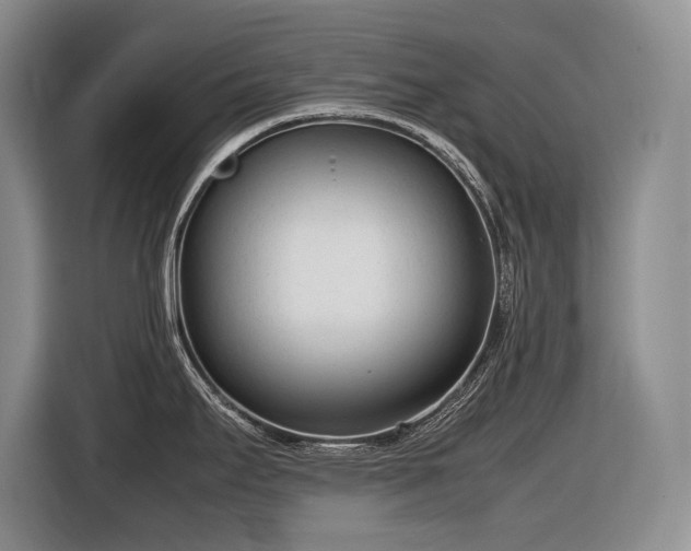 X0000116881295200912221418