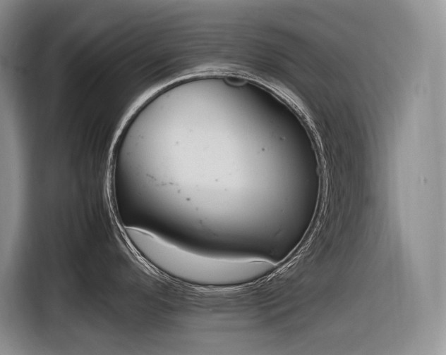 X0000116881296200912221418