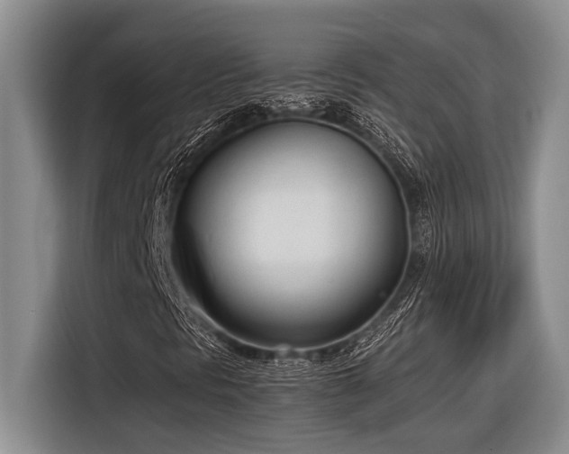 X0000116881297200912221417