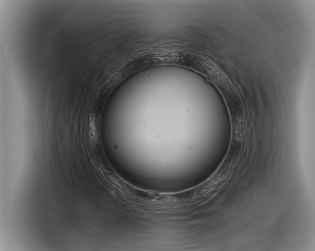 X0000116881298200912221417