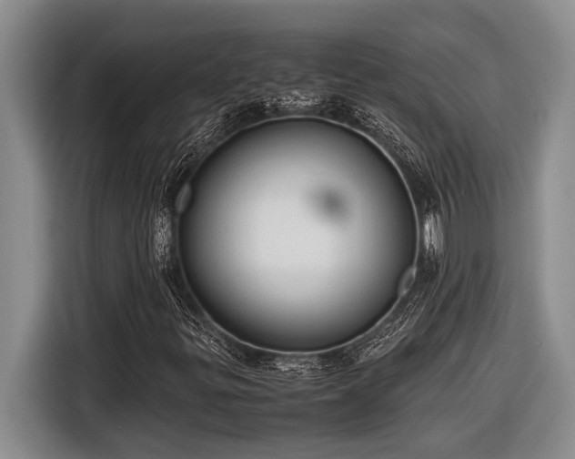 X0000116881299200912221417