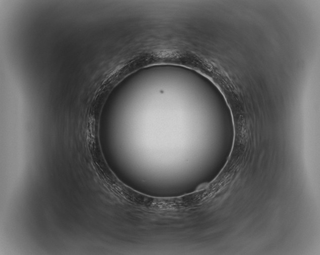 X0000116881301200912221417