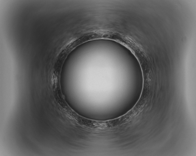 X0000116881302200912221417