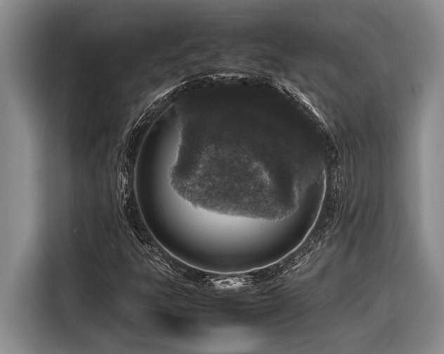 X0000116881303200912221417