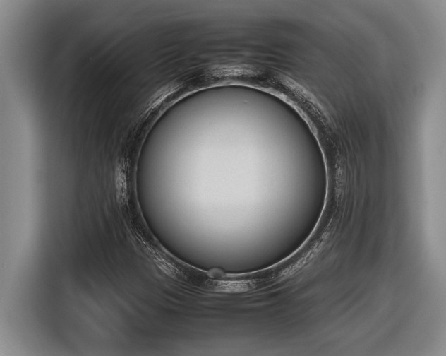X0000116881305200912221417