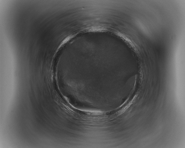 X0000116881306200912221417