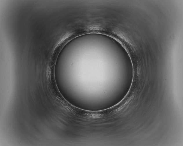X0000116881309200912221417