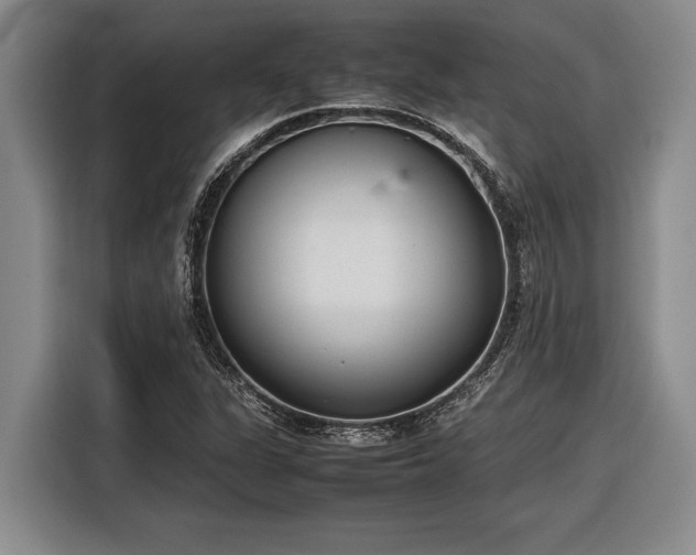 X0000116881311200912221417