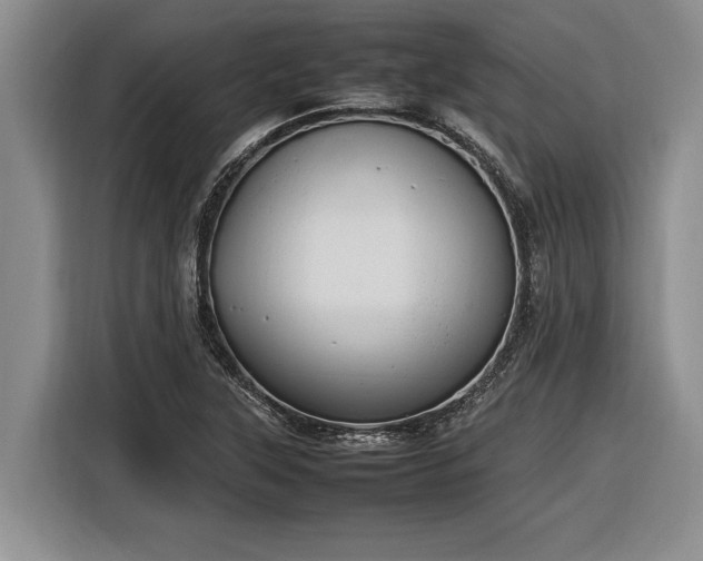 X0000116881315200912221418