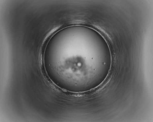 X0000116881317200912221418
