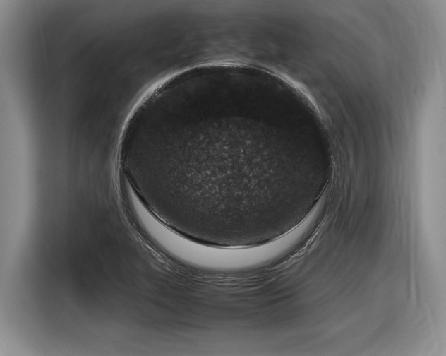 X0000116881319200912221418