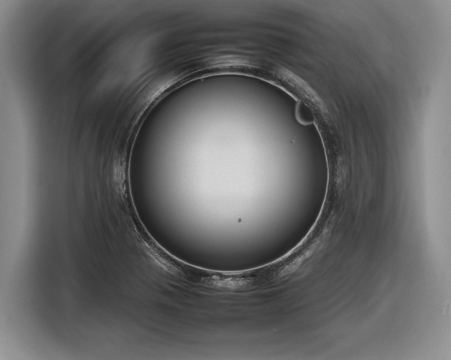X0000116881321200912221418