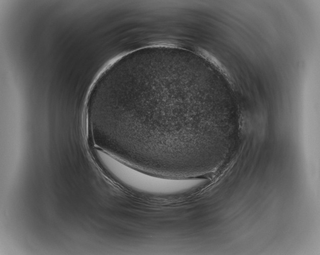 X0000116881323200912221418