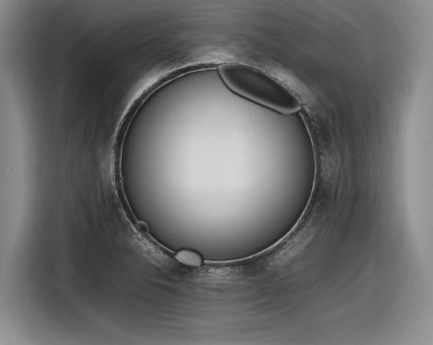 X0000116881326200912221418