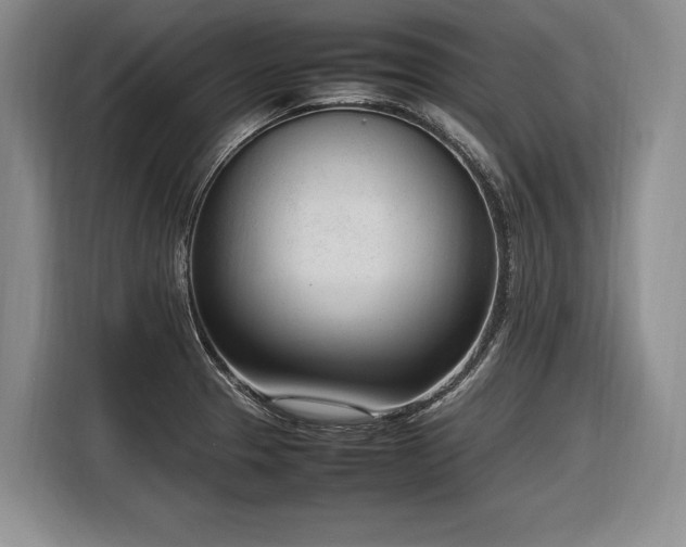 X0000116881329200912221418