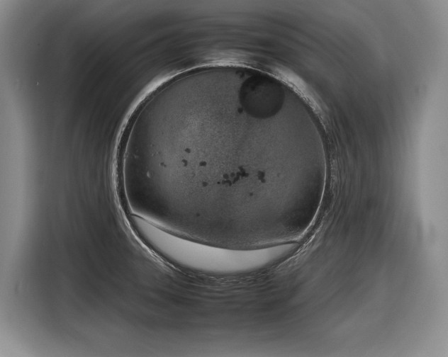 X0000116881331200912221418