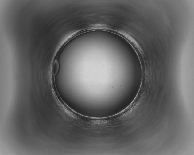 X0000116881333200912221418