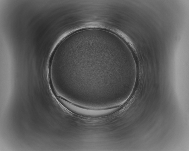 X0000116881334200912221418
