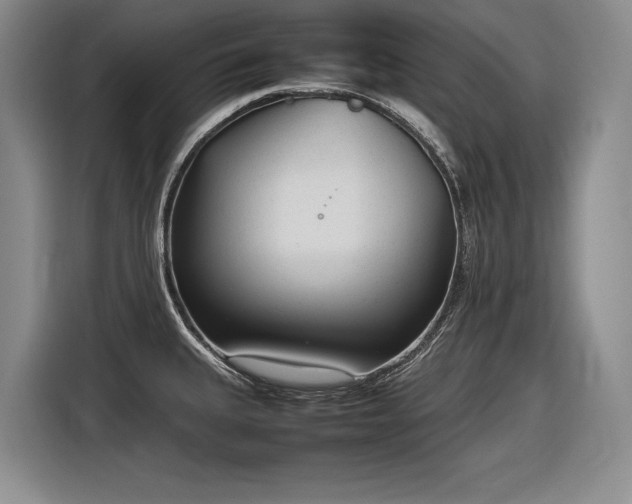 X0000116881335200912221418