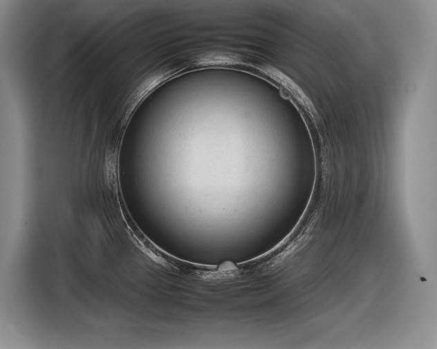 X0000116881337200912221418