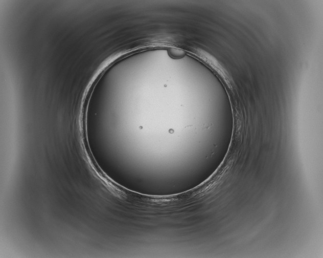 X0000116881339200912221418